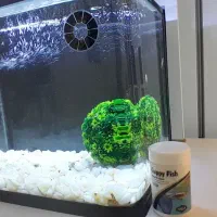 آکواریوم نو کامل