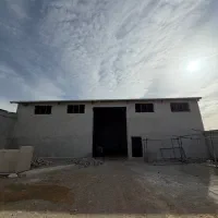 گاوداری ۲۰۰ راسی فروش و اجاره