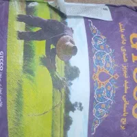 برنج جی تی سی