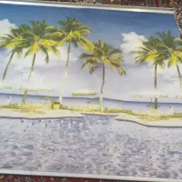 پرده ریلی با کیفیت در حد نو