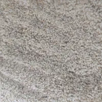 کنجد ارده گیری ،کنجد قنادی ،کنجد روغنگیری|عمده‌فروشی|اردکان, |دیوار