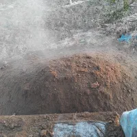 کود حیوانی، گوسفندی و گاوی تمیز|خدمات باغبانی و درختکاری|سورک, |دیوار