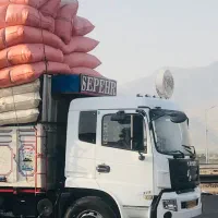 کاه درجه یک مرغوب|حیوانات مزرعه|اردستان, |دیوار