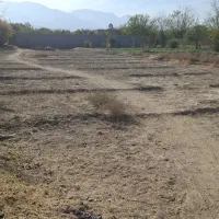 زمین زراعی|فروش زمین و ملک کلنگی|مهریز, |دیوار