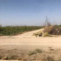 زمین باغ ۲۵۰ متر|فروش زمین و ملک کلنگی|تهران, یافت‌آباد|دیوار