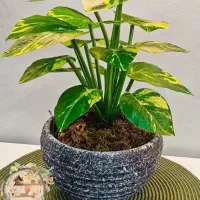 گلدان و گل مصنوعی