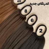 دم اسبی های کش دار|آرایشی، بهداشتی، درمانی|مراغه, |دیوار