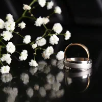 فیلمبرداری و عکاسی مجالس|خدمات پذیرایی، مراسم|مشهد, هفت تیر (حافظ)|دیوار