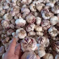 سیر پارس اباد