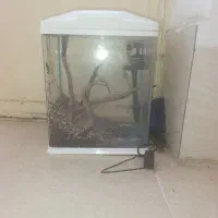فروش آکواریوم شیشه خم