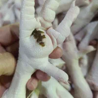 استخدام نیرو خانم شب کار