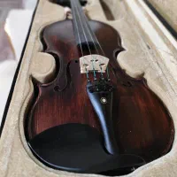 ویولن حرفه‌ای استاد خضری ایرانی خوان|ویولن|تهران, یافت‌آباد|دیوار