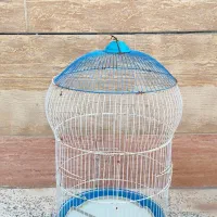 قفس پرنده سالم و بزرگ