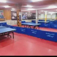 حریف پینگ پنگ|ورزش‌های توپی|نیشابور, شهرک فیروزه|دیوار