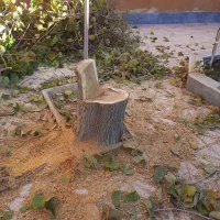 جویای جوان نیروی کار