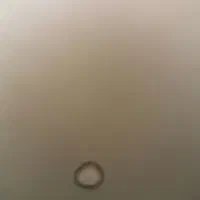(دایکاست )فروش خط تولید سرشعله کاسه ای اجاق گاز