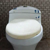 توالت فرنگی