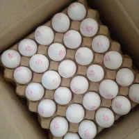 بسته بندی مواد غذایی