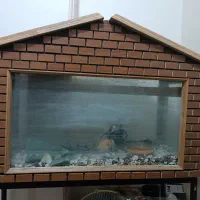 آکواریوم کلبه|ماهی|قم, بنیاد|دیوار