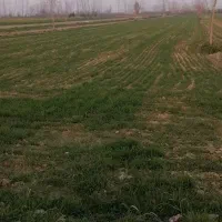 زمین-زراعتی-درروستای-کارکنده