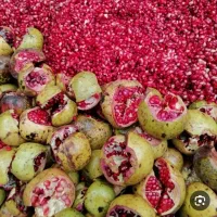 انار ترش