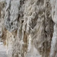 پشم گوسفند|رختخواب، بالش، پتو|اردبیل, |دیوار