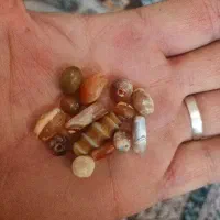 مهره های کهنه قدیمی