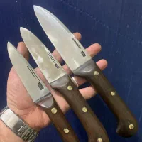 خانواده داوودی