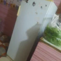 یخچال فلیور  سی و سالم