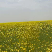 انجام کلیه کارهای روزانه