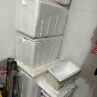 بوج ماهی ومیگو