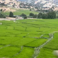 فروش-زمین-2-بر