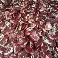 کشمش آفتابی با کیفیت|خوردنی و آشامیدنی|نیشابور, شهرک فیروزه|دیوار