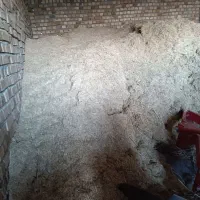 کاه برنج|لوازم جانبی حیوانات|سیلاخور, |دیوار