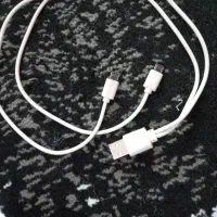 شارژر دوبل میکرو