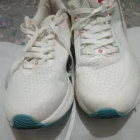 کتونی اورجینال زنانه سایز 38|کیف، کفش، کمربند|تهران, سبلان (لشگر)|دیوار