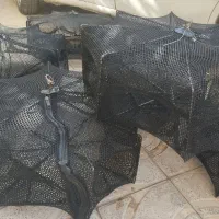 طور ماهیگیری|ماهیگیری|زنجان, |دیوار