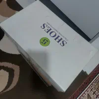 راننده به مقصد گناوه