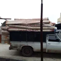 قالیشویی و مبل شویی در رباط