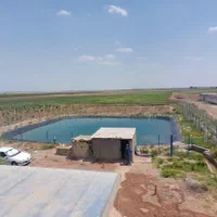 زمین کشاورزی گلخانه ای قزوین فارسیان