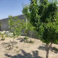 باغچه 500 متری حاشیه بزرگراه|فروش زمین و ملک کلنگی|مشهد, میان ولایت|دیوار