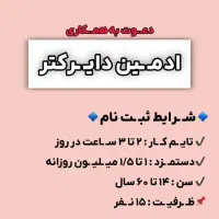 ادمین دایرکتر(دور کاری)