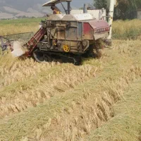 کامباین زنجیری