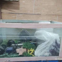 آکواریوم با وسایل کامل