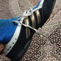 کفش کشتی|کیف، کفش، کمربند|اردبیل, |دیوار