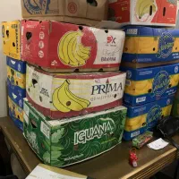 تعدادی کارتن موز برای اسباب کشی و غیره