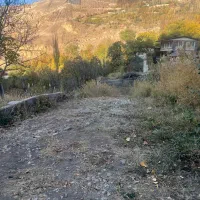 ۲۵۰ متر زمین داخل بافت در جاده هراز آب وهوای خنک|فروش زمین و ملک کلنگی|گزنک, |دیوار