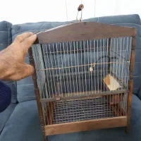 قفس سهره سهره قناری|لوازم جانبی حیوانات|کوهدشت, |دیوار