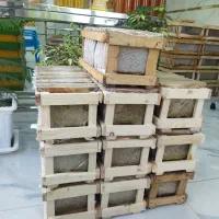 عسل قاب کوچیک سبلان