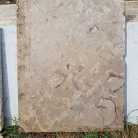 سنگ تراورتن پر طاووسی ۲۰متر مربع